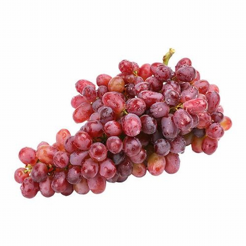 春季如何養(yǎng)生 常吃薺菜勝過(guò)靈丹早春